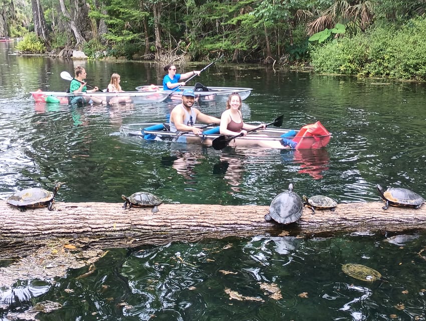 Silver Springs: Guided Clear Kayak or Paddleboard Gator Tour - What the guide adds to the experience