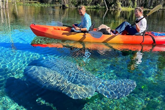 Silver Springs Jungle Kayaking and Paddleboarding - The narrow paddle trail and the return leg