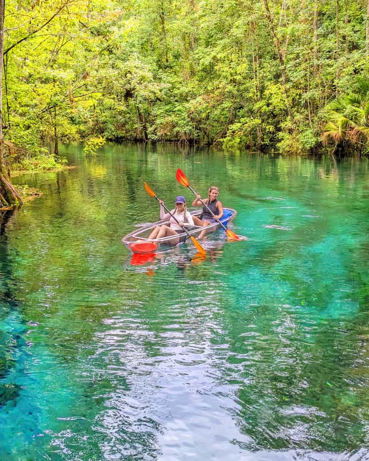 Silver Springs: Jungle Kayaking & Paddleboarding Adventure - Why Silver Springs works so well from a kayak