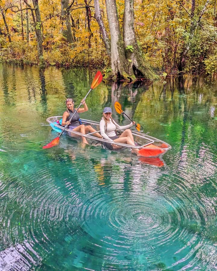 Silver Springs: Jungle Kayaking & Paddleboarding Adventure - What happens before you reach the water