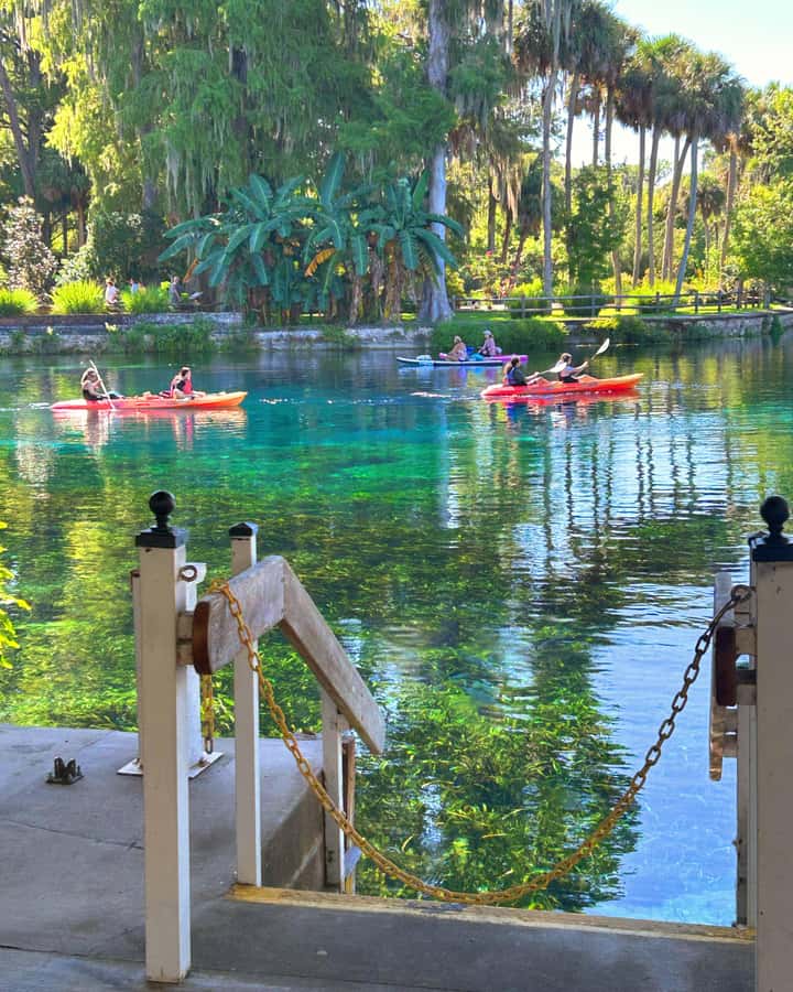 Silver Springs: Jungle Kayaking & Paddleboarding Adventure - Cypress trees, birds, and the old movie ruins