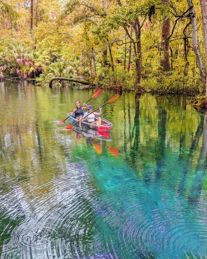Silver Springs: Jungle Kayaking & Paddleboarding Adventure - The first paddle through clear spring water