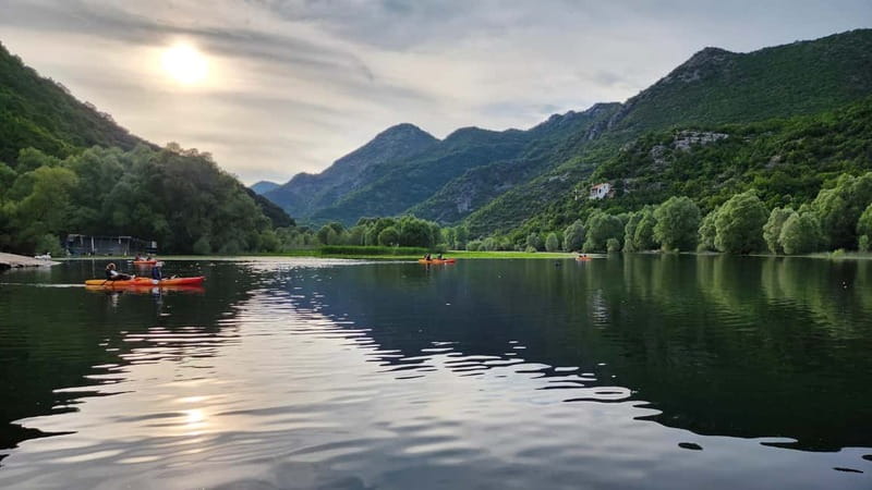 Skadar Lake: Kayak & Paddle board Rental - Birdwatching from a quiet paddle craft