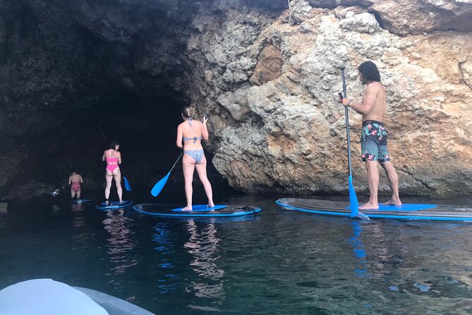 Snorkeling-out : Transparent Kayak or SUP Tour - Is $52.09 a fair price?