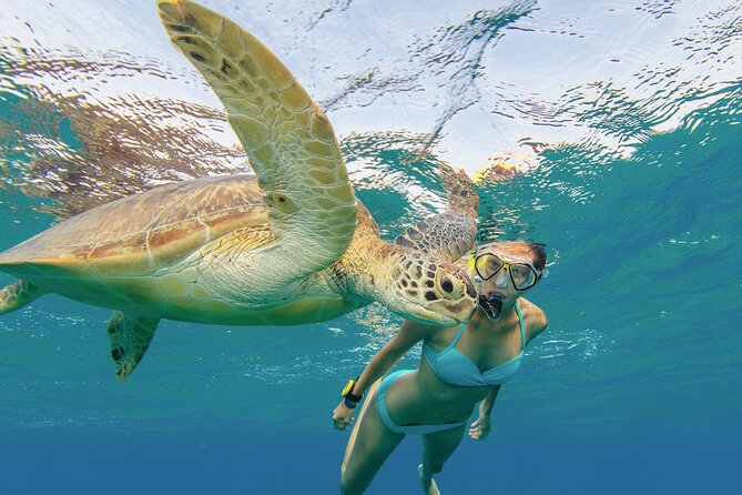 Snorkeling with Turtle/Water Scooter/Paddleboard Adventures Oahu - Who will enjoy this most
