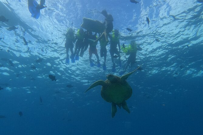 Snorkeling with Turtle/Water Scooter/Paddleboard Adventures Oahu - What the three hours are likely to feel like