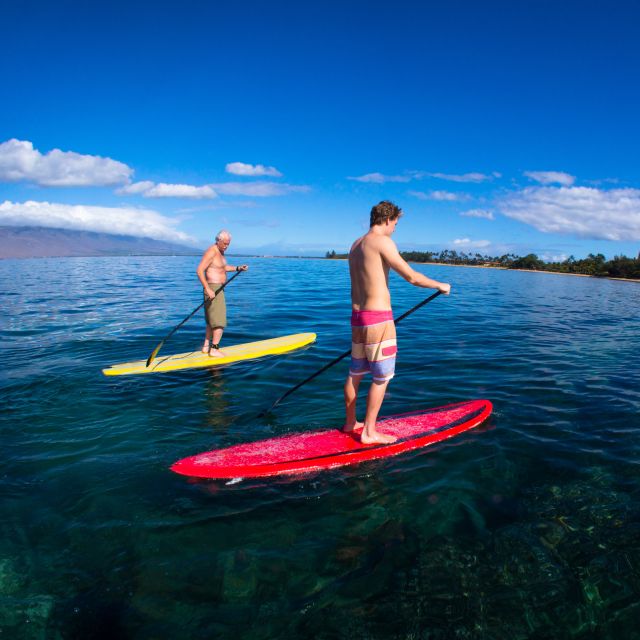 South Maui: Makena Bay Stand-Up Paddle Tour - Key points to know before you book