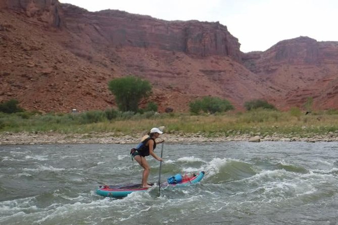 Splish and Splash: Stand Up Paddleboarding on the Colorado River - Red rock and whitewater in one short outing