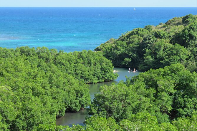 Stand Up Paddle Adventure in Guadeloupe - Why the Private Format Matters
