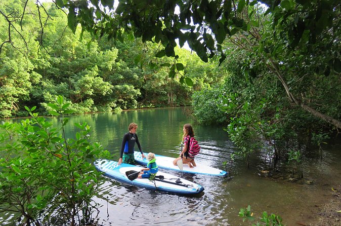 Stand Up Paddle Adventure in Guadeloupe - Who Will Enjoy This Paddle Most