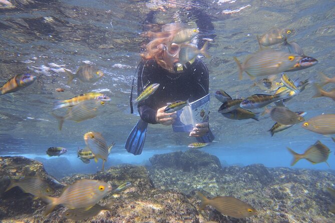 Stand up Paddle and Snorkeling lesson in Playa Blanca - Should You Book It?
