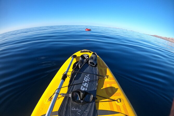 Stand up Paddle and Snorkeling lesson in Playa Blanca - Paddling Along Lanzarote’s Coast