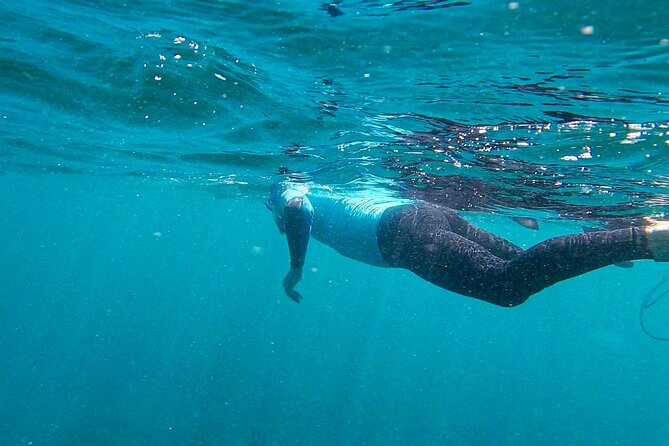 Stand Up Paddle and Snorkeling Tour of Gran Canaria with Transfers south area - Paddleboarding along Gran Canaria’s coast