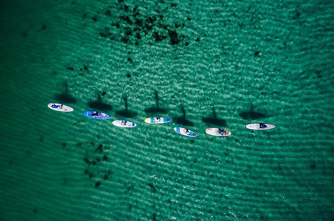 Stand Up Paddle Board Experience on Pristine Gnarabup Bay - Is the Price of $64.55 Fair?