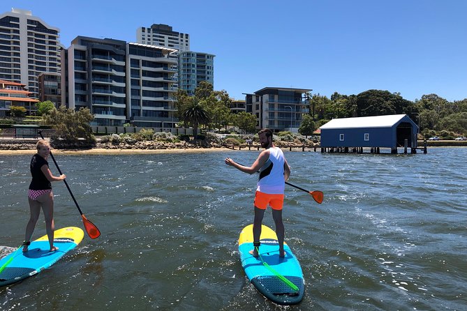 Stand Up Paddle Board Hire - Taking your board onto the Swan River