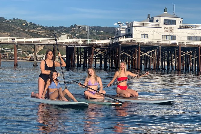 Stand up Paddle Board in Malibu - Keep an eye out for seals and dolphins