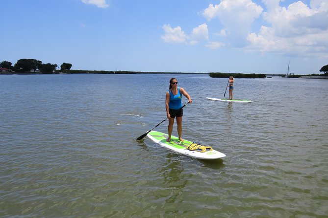 Stand Up Paddle Board Rental in Rose Bay - Paddling the Calm Spruce Creek Waterways