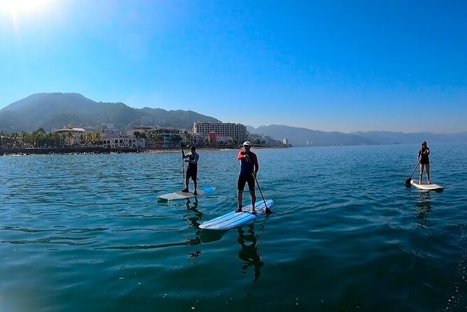 Stand Up Paddle Boarding Adventure in Puerto Vallarta - Stop four: Los Muertos pier