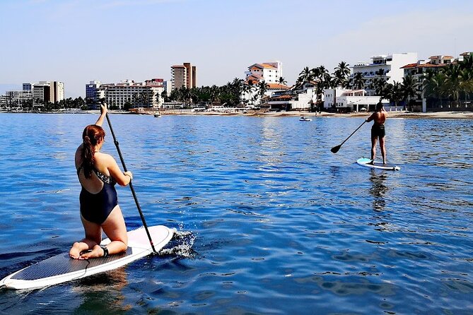 Stand Up Paddle Boarding Adventure in Puerto Vallarta - Sunrise, wildlife, and the question of timing