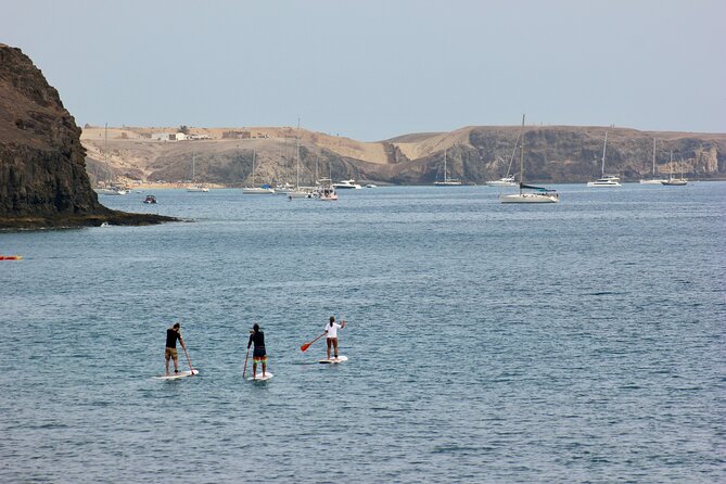 Stand Up Paddle Boarding Lesson in Playa Flamingo - Equipment included in the €50 lesson
