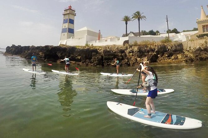 Stand Up Paddle Boarding Lesson of Cascais Bay - Who will enjoy this Cascais activity most