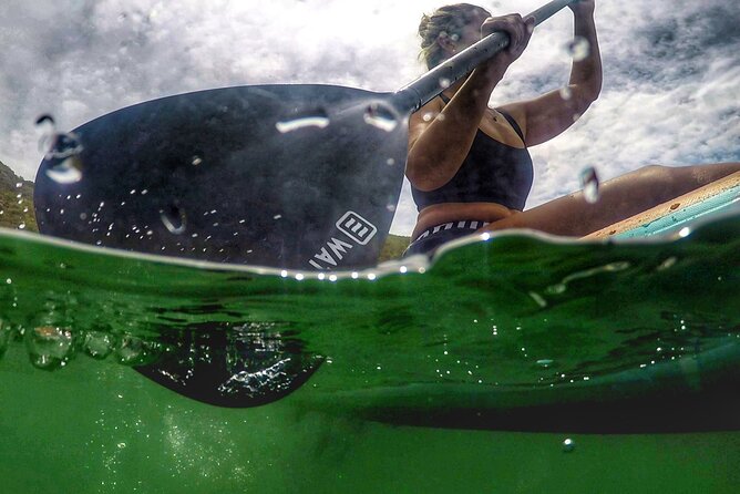 Stand Up Paddle Experience at Lagos do Sabor - Who will enjoy this most