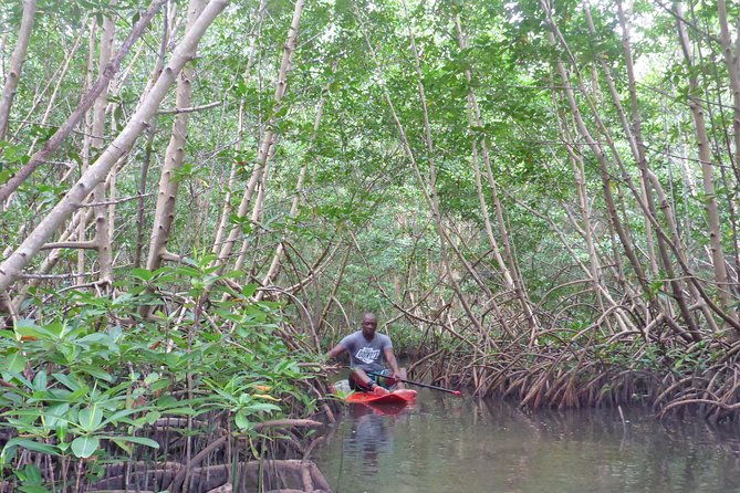 Stand up paddle in paradise - Starting quietly at Babin Beach