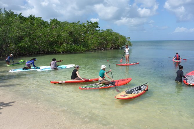 Stand up paddle in paradise - What the $59.67 price covers