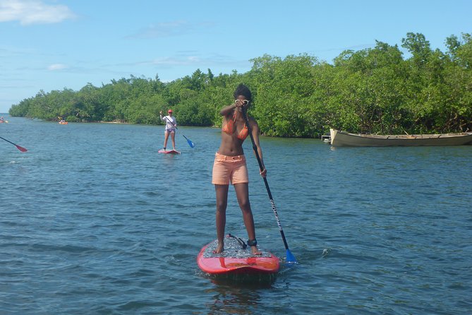 Stand up paddle in paradise - Who will enjoy this Guadeloupe paddle tour