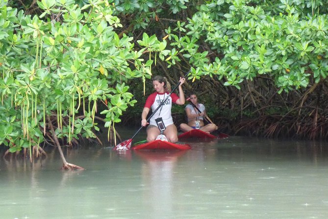 Stand up paddle in paradise - Booking, timing, and cancellation