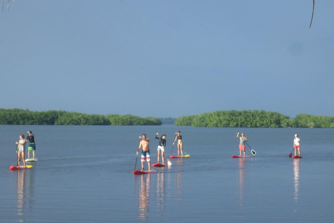 Stand up paddle in paradise - What the ecology lesson adds