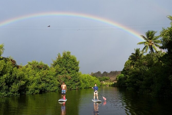Stand Up Paddle Nature and Turtle tour-Guaranteed to see turtles - A calm paddle on Oahu’s Anahulu Stream