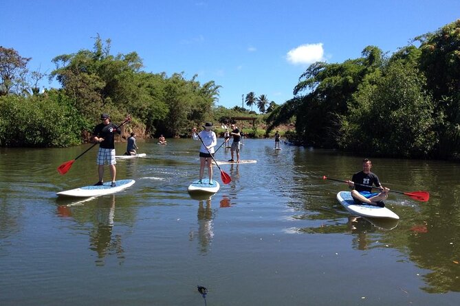 Stand Up Paddle Nature and Turtle tour-Guaranteed to see turtles - Who will enjoy this North Shore activity?