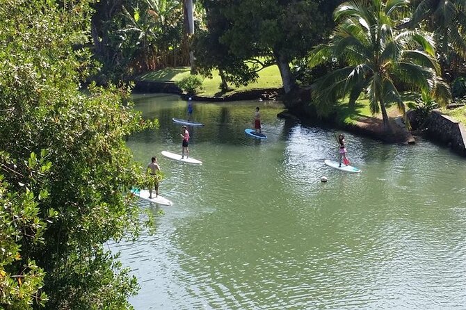 Stand Up Paddle Nature and Turtle tour-Guaranteed to see turtles - Weather, cancellations, and planning your day