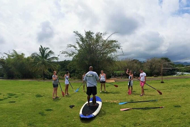 Stand Up Paddle Nature and Turtle tour-Guaranteed to see turtles - My call: book it if turtles matter more than clear water