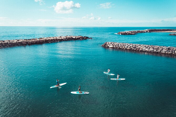 Stand Up Paddle Private Lesson in Calheta Beach - Key points at a glance
