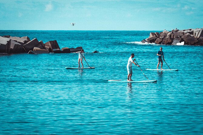 Stand Up Paddle Private Lesson in Calheta Beach - The full-body workout without a gym