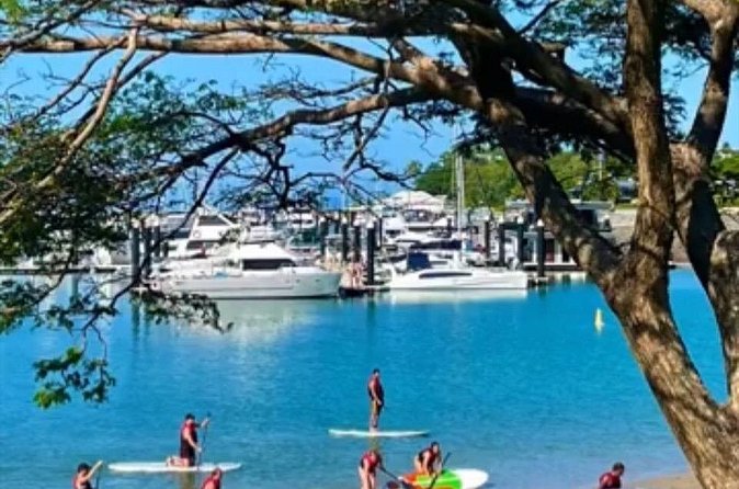 Stand Up Paddle Rental 1hr - Who will enjoy this Airlie Beach activity?