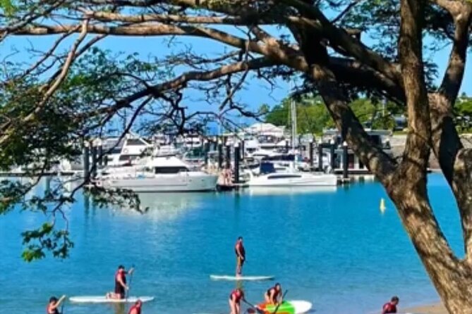 Stand Up Paddle Rental 1hr - Why the marina location works well for beginners