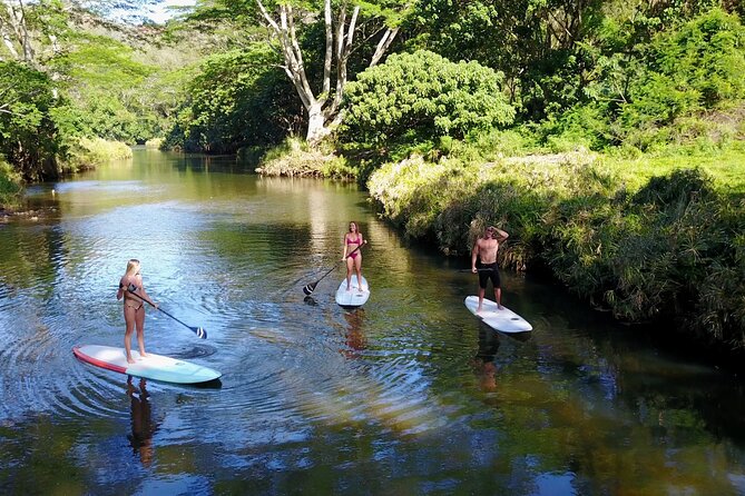 Stand Up Paddle Rental- Wailua River to Secret Falls - Paddling the Wailua River for about two miles