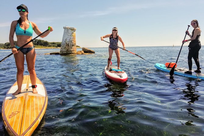 Stand-Up Paddle & Snorkeling with Local Guide near Nice - Key points at a glance