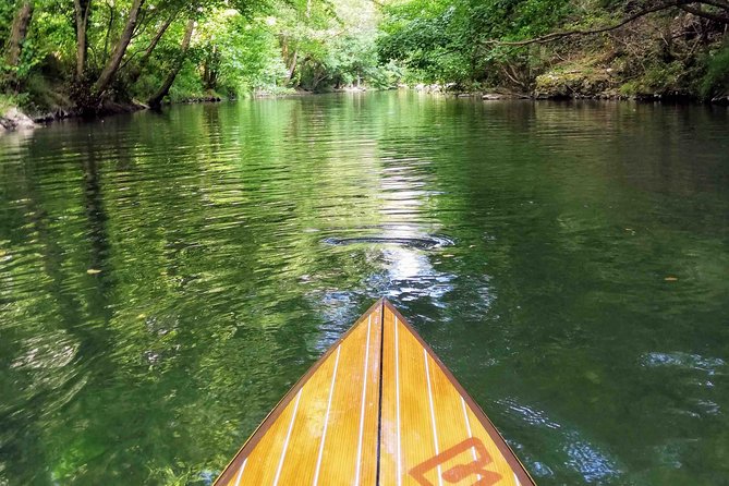 Stand-Up Paddle & Snorkeling with Local Guide near Nice - Along the bay toward Saint-Jean-Cap-Ferrat