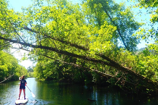 Stand Up Paddle Tour - The quiet beach stop