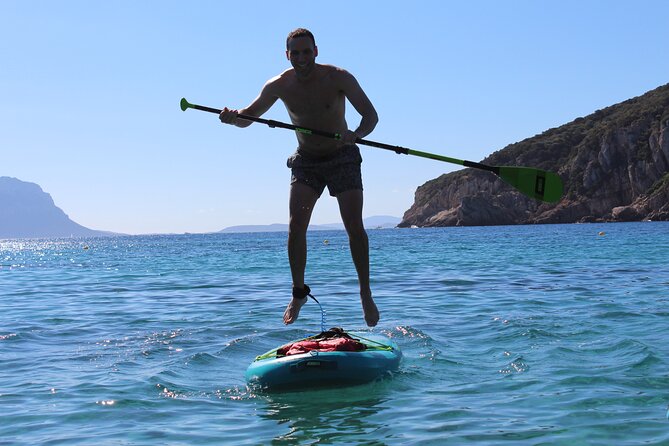 Stand Up Paddle With Dolphins, aperitif and pictures - Looking for dolphins without chasing them