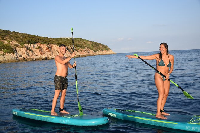 Stand Up Paddle With Dolphins, aperitif and pictures - Is $69.66 a fair price?