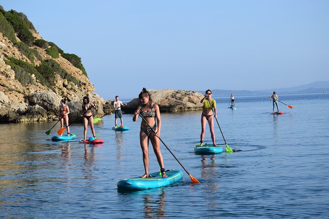 Stand Up Paddle With Dolphins, aperitif and pictures - What to bring and how to prepare