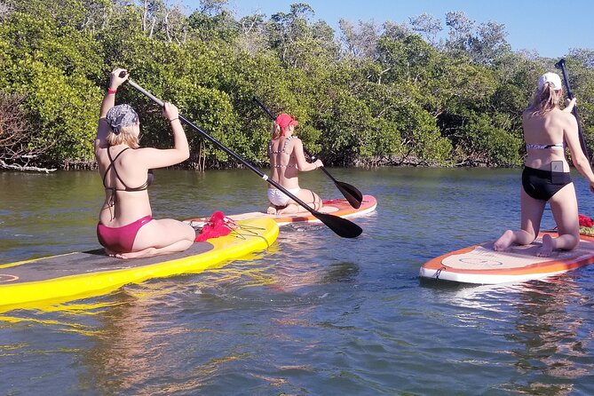 Stand Up Paddleboard Rental on Big Hickory Pass - Key points to know before you book