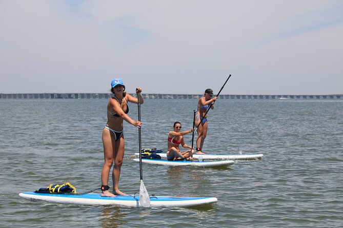 Stand Up Paddleboard Rentals in Ocean City, MD - A Short Introduction Before You Paddle