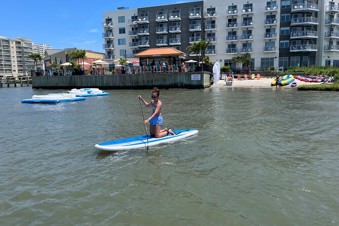 Stand Up Paddleboard Rentals in Ocean City, MD - Booking Details That Matter