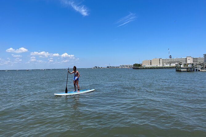 Stand Up Paddleboard Rentals in Ocean City, MD - Should You Book This Paddleboard Rental?